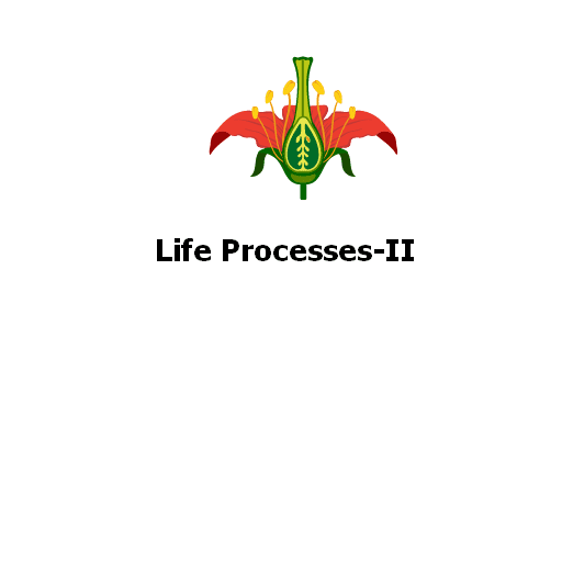 Life Processes-II